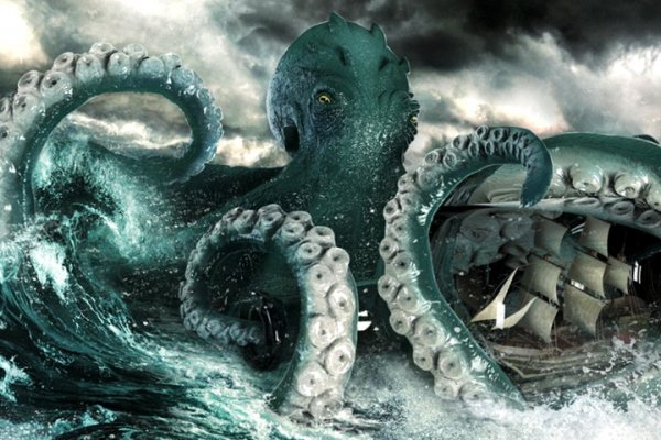 Kraken network