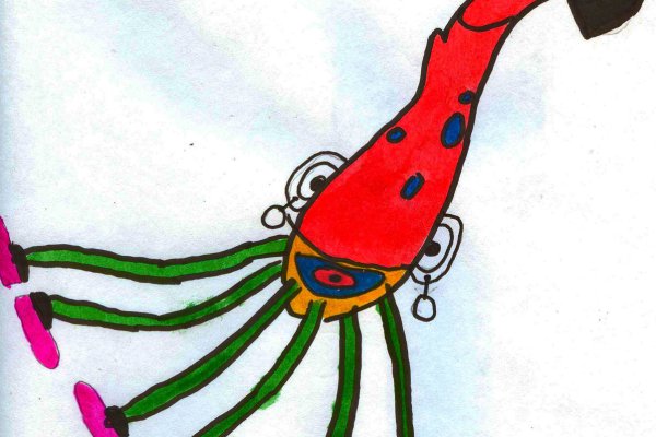 Kraken 14at