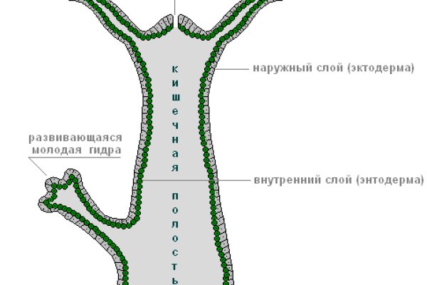 Кракен заблокировали