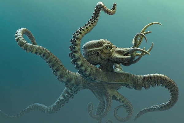 Kraken russia