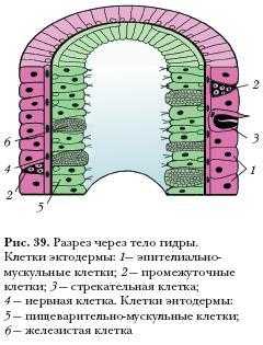 Не приходят деньги на кракен